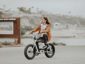 邦楽 TWELVE 1973 Fender 12L6-13 Oxford Quad Reverb 12'' Speakers Pair Bronze