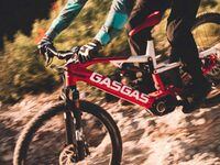Felt Bicycles Acquired by Pierer Mobility AG Cycle Volta