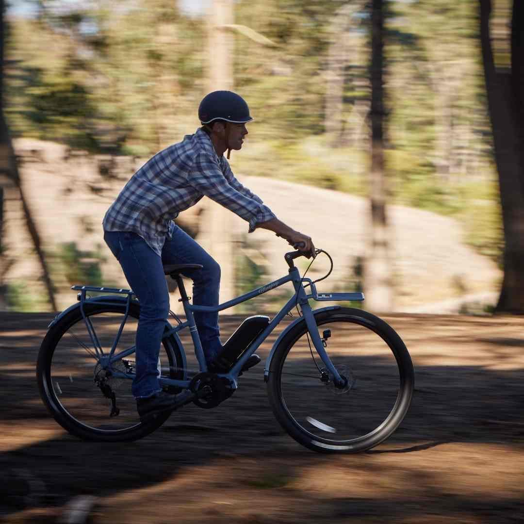 Bluejay bike sale