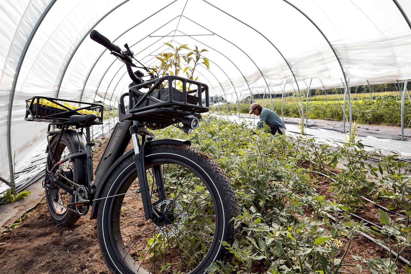 Rad power bikes large basket clearance