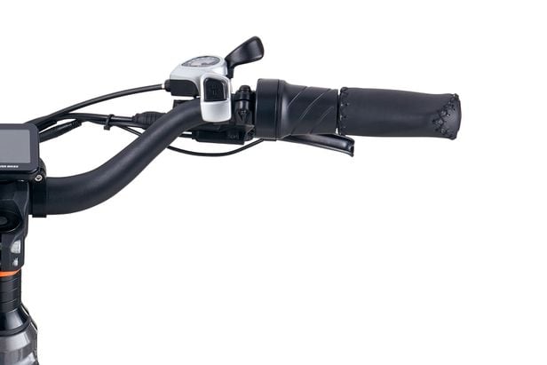 Rad Power Bikes RadRover 6 Plus Review Cycle Volta