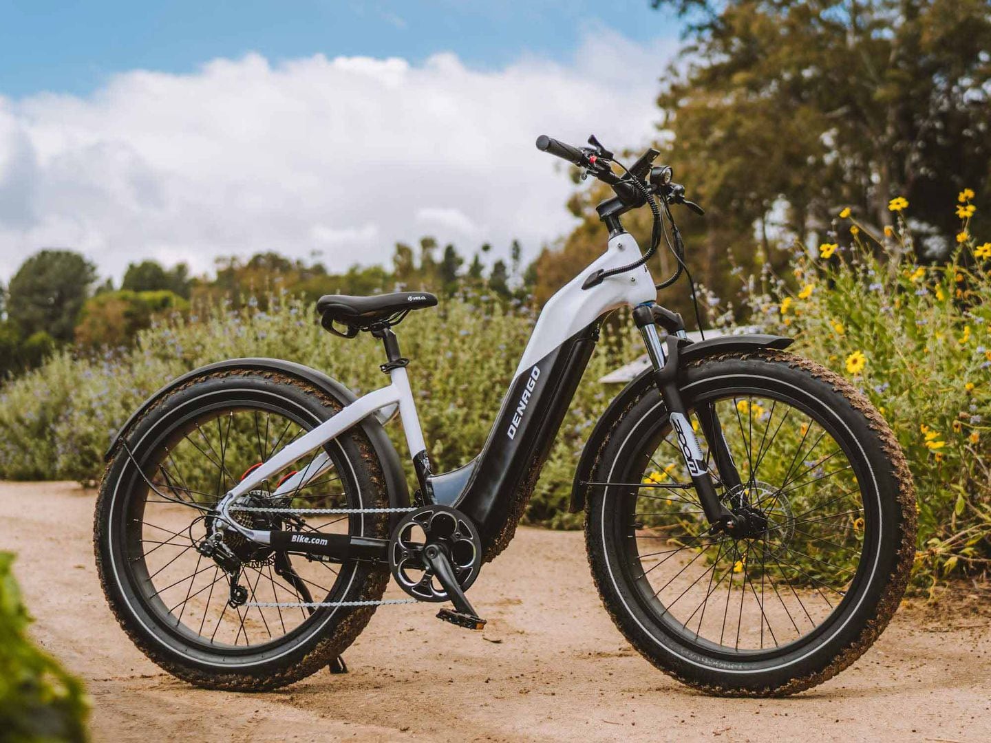 Denago Fat Tire StepThru Ebike First Look Cycle Volta