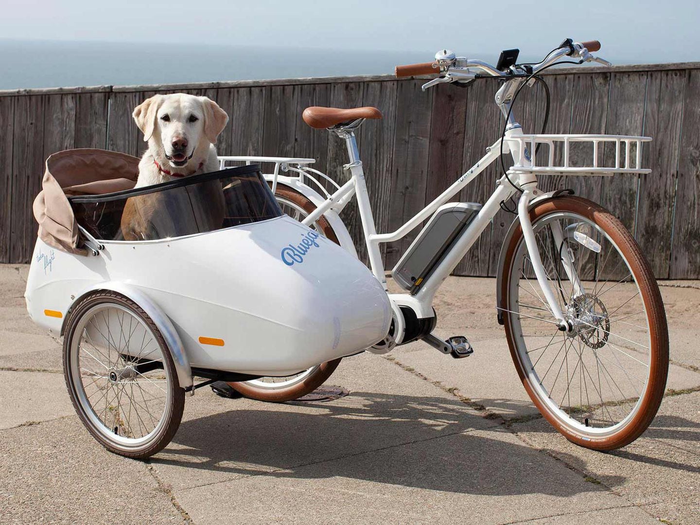Bluejay bike best sale