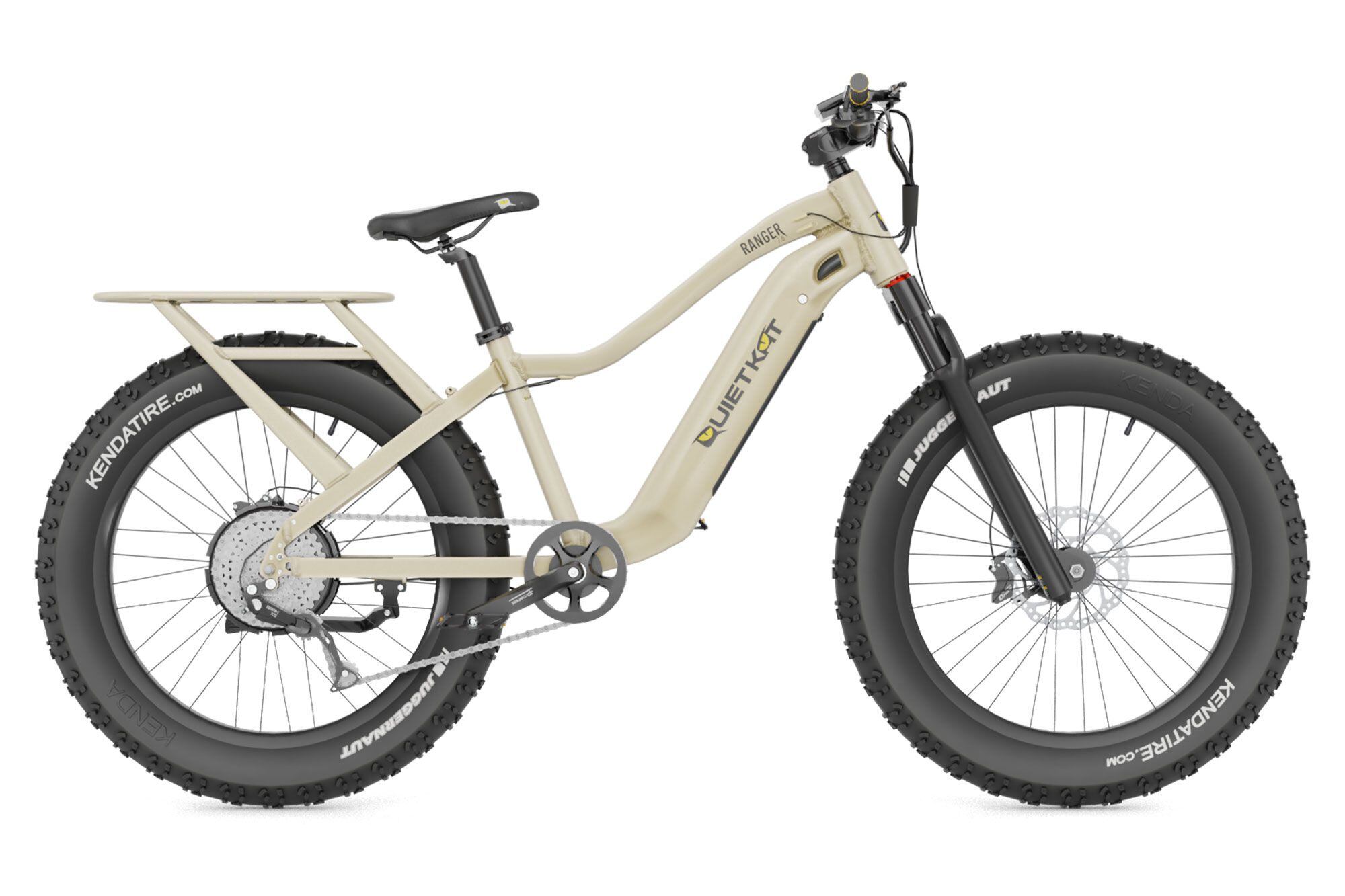 Quiet cat deals electric bicycle