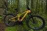 trek fuel exe 9 9 xx1 axs leaning on tree