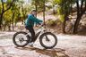 denago fat tire step thru with rider stopped on bike trail
