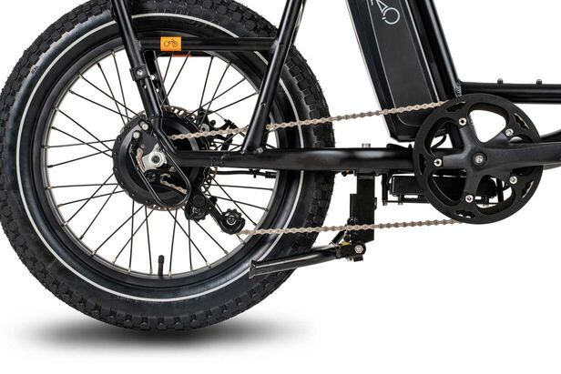 2020 Rad Power Bikes Radrunner Plus cargo bike rear
